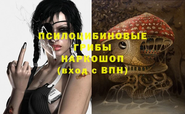 apvp Кодинск
