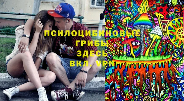 прущий лед Козельск